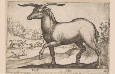 Ló szarvakkal Eale/Eale (cím a tárgyon) Állatok és mitikus lények (sorozat címe) Nova raccolta de li animali piu curiosi del mondo (sorozat címe) alkotó: Antonio Tempesta