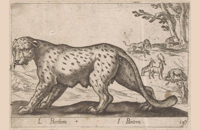 Párduc L Panthera/ I Panthera (cím a tárgyon) Dieren en fablewezens (sorozat címe) Új kollekció a világ legkíváncsibb állataiból (sorozat címe) alkotó: Antonio Tempesta