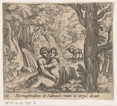 Salmacis és Hermaphroditus Hermaphroditus és Salmacius egy testként távoznak (cím a tárgyon) Metamorfózis vagy átalakulások (sorozat címe) Metamorfosen van Ovidius (sorozat címe) alkotó: Antonio Tempesta