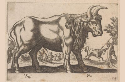 Bika Vrus/ Vro (cím az objektumon) Dieren en fablewezens (sorozat címe) Új kollekció a világ legkíváncsibb állataiból (sorozat címe) alkotó: Antonio Tempesta