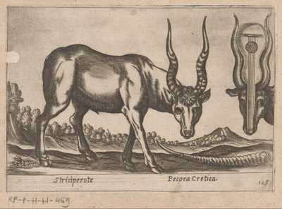 Két antilop Striciperote/ krétai szarvasmarha (cím a tárgyon) Dieren en fablewezens (sorozat címe) Nova raccolta de li animali piu curiosi del mondo (sorozat címe) alkotó: Antonio Tempesta