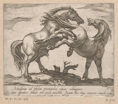 Twee parende paarden Paarden uit verschiedelde landen (sorozat címe) Ezekkel a vezetőkkel viroru szájú vezetőként fognak ünnepelni. alkotó: Antonio Tempesta