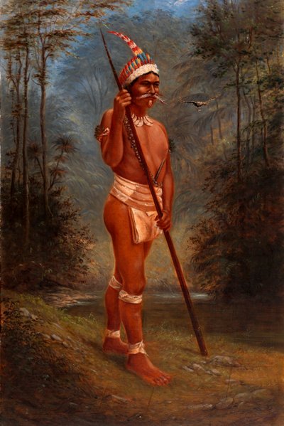 Zaparo Stock alkotó: Antonion Zeno Shindler
