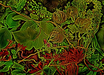  alkotó: Antonius Antonius