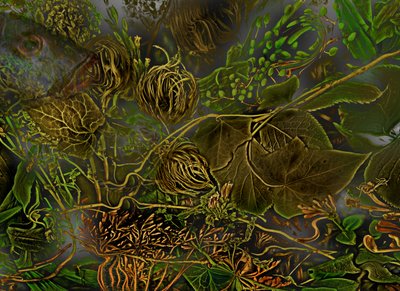  alkotó: Antonius Antonius