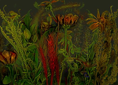  alkotó: Antonius Antonius