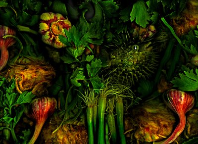  alkotó: Antonius Antonius