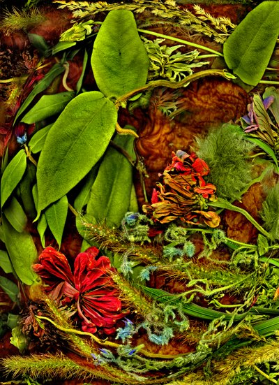  alkotó: Antonius Antonius