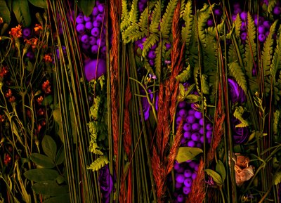  alkotó: Antonius Antonius