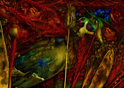  alkotó: Antonius Antonius