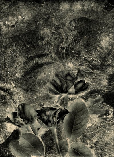  alkotó: Antonius Antonius