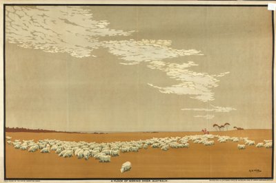 Merinói juhnyáj – Ausztrália, „Ausztrália búza és gyapjú gazdagsága” sorozatból (színes litho) alkotó: Archibald Bertram Webb