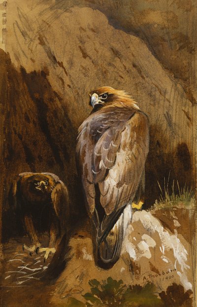 Arany sasok a szemükben alkotó: Archibald Thorburn