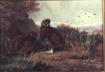 Cerkenyek a téli tájban alkotó: Archibald Thorburn