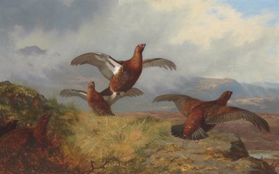 Grouse repülés közben alkotó: Archibald Thorburn