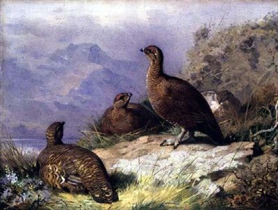 Vörös fajd egy tó partján alkotó: Archibald Thorburn