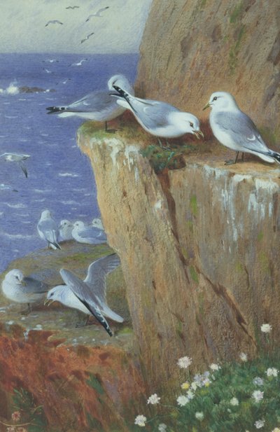Sirályok alkotó: Archibald Thorburn
