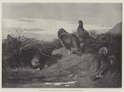 Sportos tárgyak, Hajnal a tizenkettedikén alkotó: Archibald Thorburn