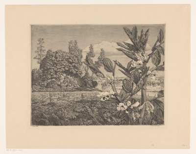 Táj virágokkal alkotó: Arend Hendriks (signed by artist)