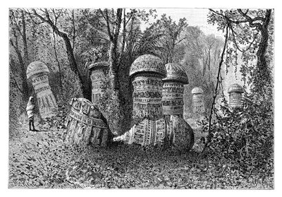 Egy Ahom-templom romjai, Dinajpur, Felső-Assam, India, 1895. alkotó: Armand Kohl