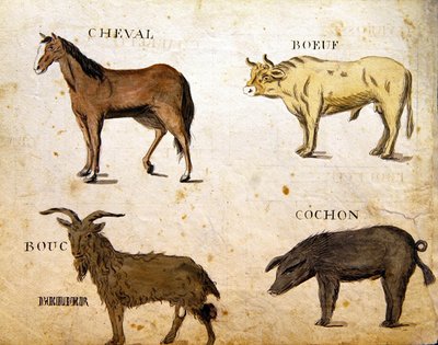 Illusztrációk az 1814-es francia ábécé könyvéből, pub. szerző: Charles Plante Fine Arts alkotó: Arnaud de Beauregard