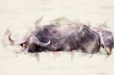  alkotó: Arno Du Toit