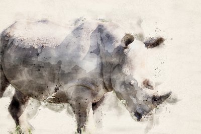  alkotó: Arno Du Toit