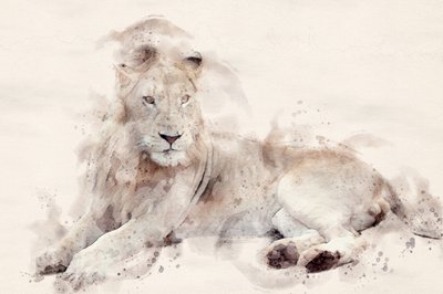  alkotó: Arno Du Toit
