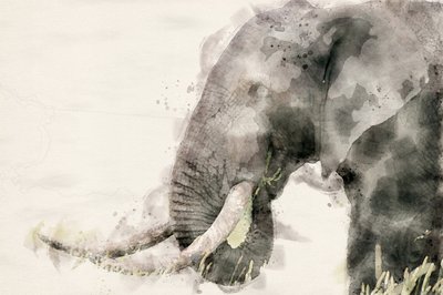  alkotó: Arno Du Toit