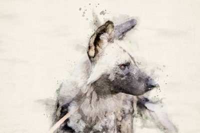  alkotó: Arno Du Toit