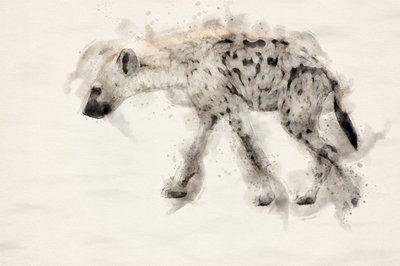  alkotó: Arno Du Toit