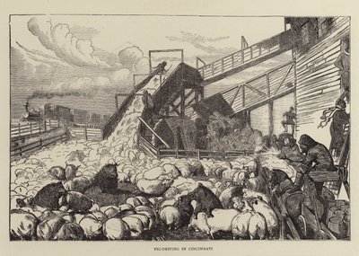 Disznóhajtás Cincinnatiben alkotó: Arthur Boyd Houghton