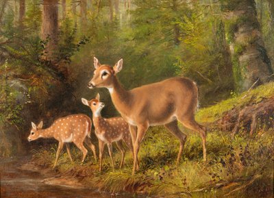 Egy őzike és két őzike alkotó: Arthur Fitzwilliam Tait