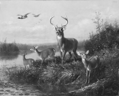 On the Qui Vive, Buck and Three Does, 1871. alkotó: Arthur Fitzwilliam Tait