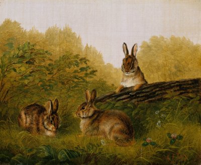 Nyulak egy rönkön, 1897. alkotó: Arthur Fitzwilliam Tait