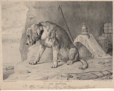 Az őrszem alkotó: Arthur Fitzwilliam Tait