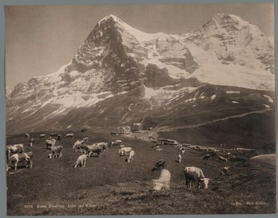 Tehenek a Kleine Scheideggen a Berni Oberlandban, a háttérben az Eiger és a Mönch Kleine Scheidegg, Eiger und Moench (cím a tárgyon) alkotó: Arthur Gabler