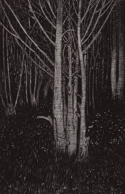 Mydnight cum volt (litho) alkotó: Arthur George Watts