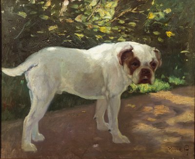 Bulldog a kerti ösvényen (olaj, vászon) alkotó: Arthur Heyer