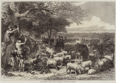 Párizs védelme, szarvasmarha és juh a Bois de Boulogne-ban alkotó: Arthur Hopkins