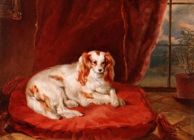 A Cavalier King Charles Spaniel egy piros párnán fekszik alkotó: Arthur J. Stark