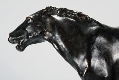 Colt (bronz) alkotó: Arthur Putnam