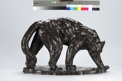 Nagy Puma Smeling Ox Track alkotó: Arthur Putnam