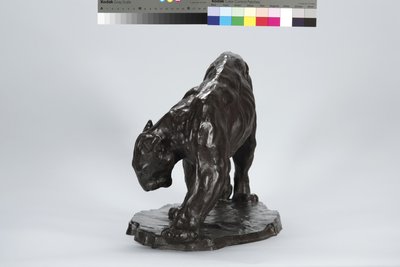 Nagy Puma Smeling Ox Track alkotó: Arthur Putnam