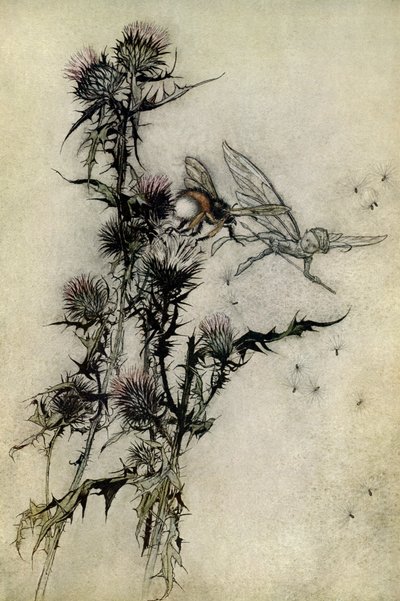 Szentivánéji álom alkotó: Arthur Rackham