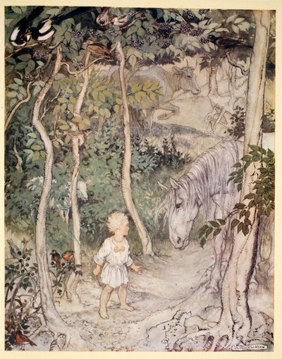 Talán azt gondolja, mint egy bámészkodó ló: "Egy fiú nem csóválhatja a farkát, hogy távol tartsa a legyeket", illusztráció James Stephens "Irish Fairy Tales" című művéből, 1920. alkotó: Arthur Rackham