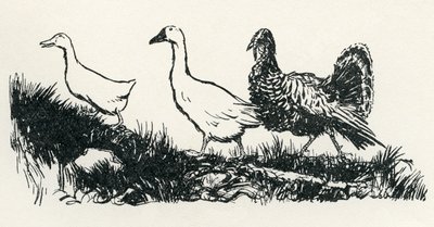 Henny-Penny alkotó: Arthur Rackham