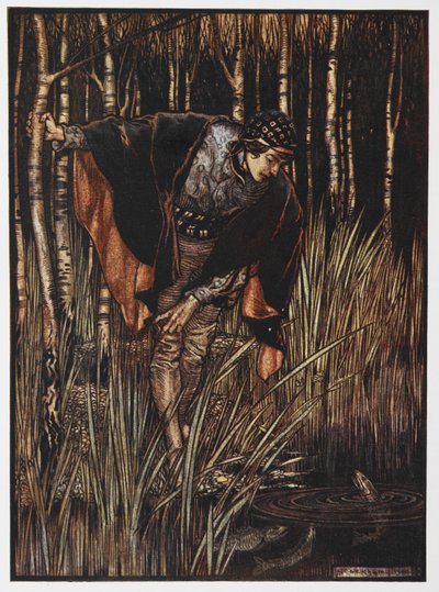 Illusztráció egy fiatalról a tó mellett a Fehér kígyóból. alkotó: Arthur Rackham