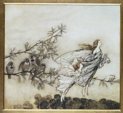 A Tündérek Tiff a madarakkal, 1906-os illusztrációja Peter Pan számára a Kensington Gardensben, J. M. Barrie, pub. 1906 (tinta és WC) alkotó: Arthur Rackham