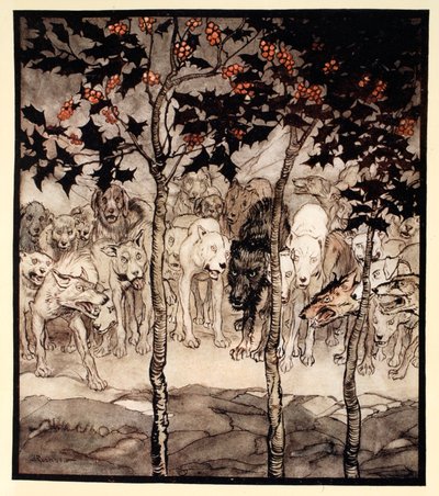 Odakint álltak, tele vadsággal és rémülettel, illusztrációja James Stephens „Irish Fairy Tales” című művéből. alkotó: Arthur Rackham